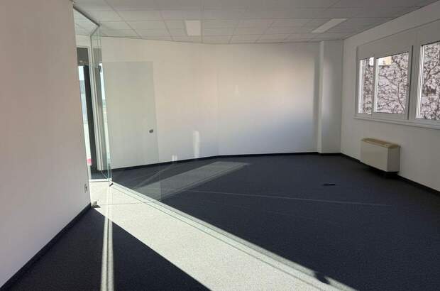 Gewerbeobjekt mieten in 1220 Wien (Bild 3)