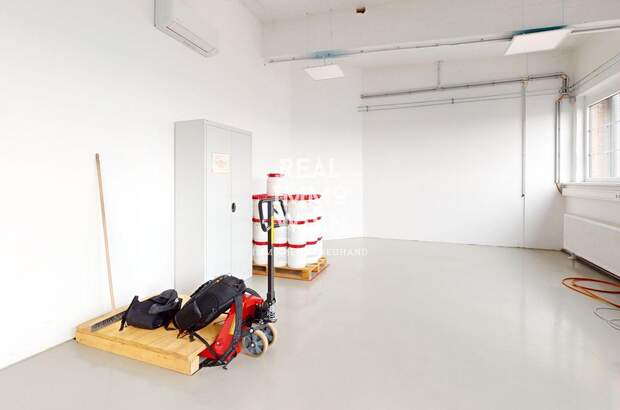 Gewerbeobjekt mieten in 2514 Traiskirchen (Bild 5)