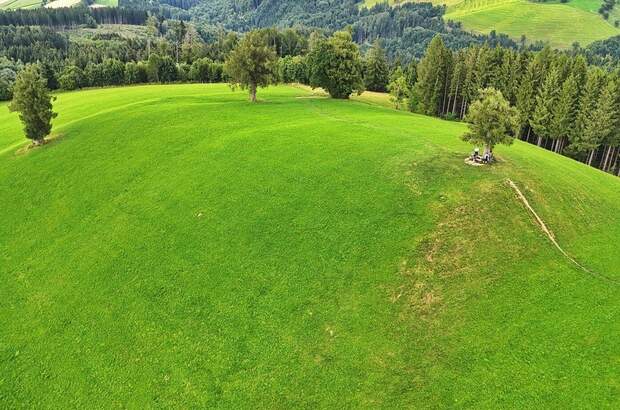 Grundstück kaufen in 4554 Oberschlierbach (Bild 4)