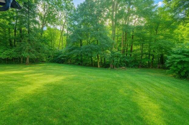 Grundstück kaufen in 1230 Wien (Bild 5)