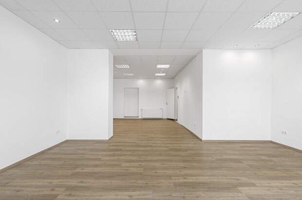 Gewerbeobjekt mieten in 2700 Wiener Neustadt (Bild 4)