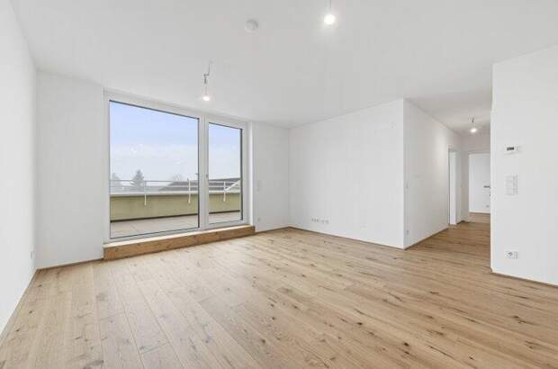 Terrassenwohnung kaufen in 2540 Bad Vöslau (Bild 3)