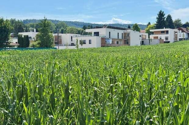 Wohnung kaufen in 8054 Graz (Bild 2)