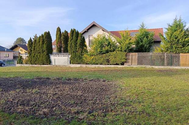 Grundstück kaufen in 7121 Weiden (Bild 3)