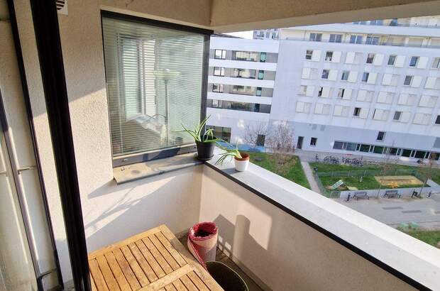 Wohnung mieten in 1100 Wien (Bild 3)