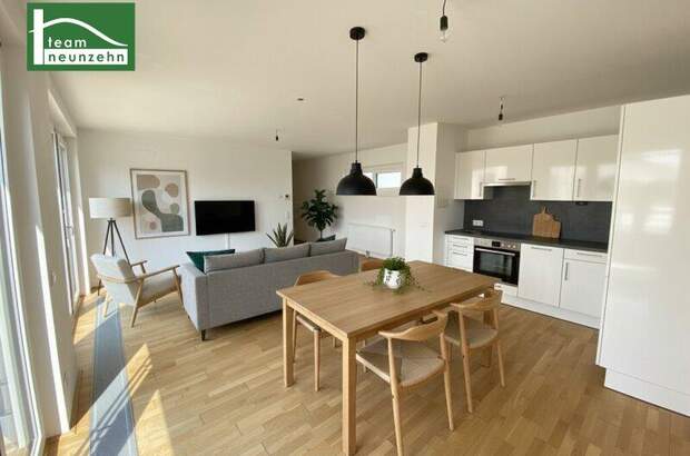 Terrassenwohnung mieten in 1210 Wien (Bild 3)