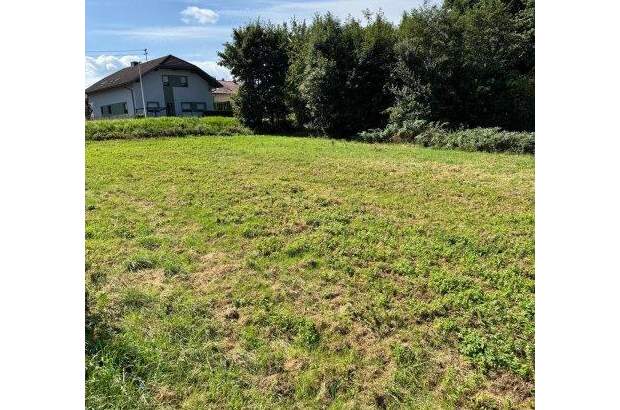 Grundstück kaufen in 4770 Andorf (Bild 3)