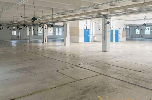 Gewerbeobjekt mieten in 4052 Ansfelden (Bild 1)