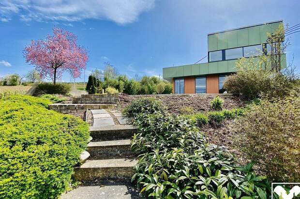 Gewerbeobjekt mieten in 4845 Rutzenmoos (Bild 2)