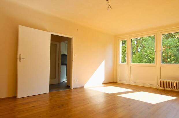 Altbauwohnung kaufen in 2500 Baden (Bild 4)