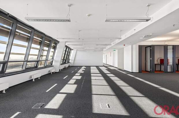 Gewerbeobjekt mieten in 1200 Wien (Bild 4)
