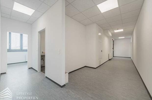 Gewerbeobjekt mieten in 1110 Wien (Bild 2)
