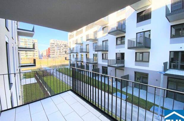 Terrassenwohnung mieten in 1100 Wien (Bild 1)