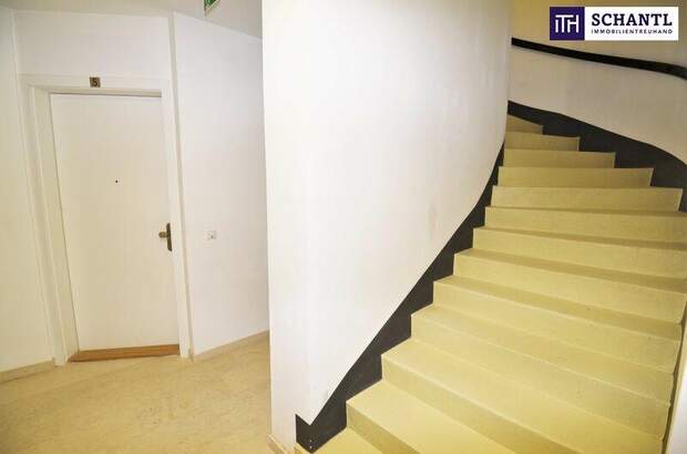 Terrassenwohnung kaufen in 1170 Wien (Bild 5)