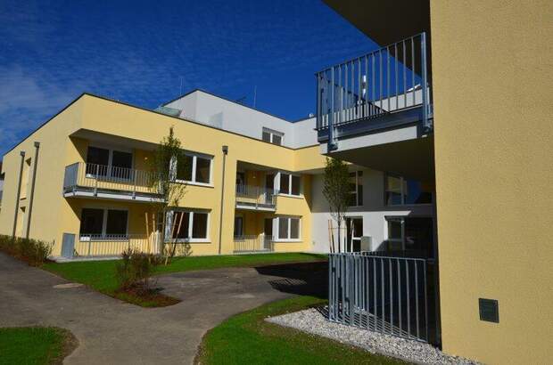 Terrassenwohnung mieten in 4300 St. Valentin (Bild 3)