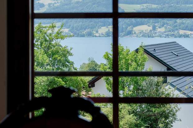 Einfamilienhaus kaufen in 4853 Steinbach (Bild 3)