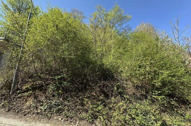 Grundstück kaufen in 7203 Wiesen (Bild 1)