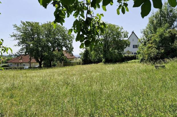 Grundstück kaufen in 4060 Leonding (Bild 4)