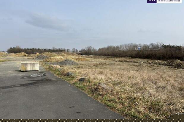 Grundstück kaufen in 8472 Vogau (Bild 2)