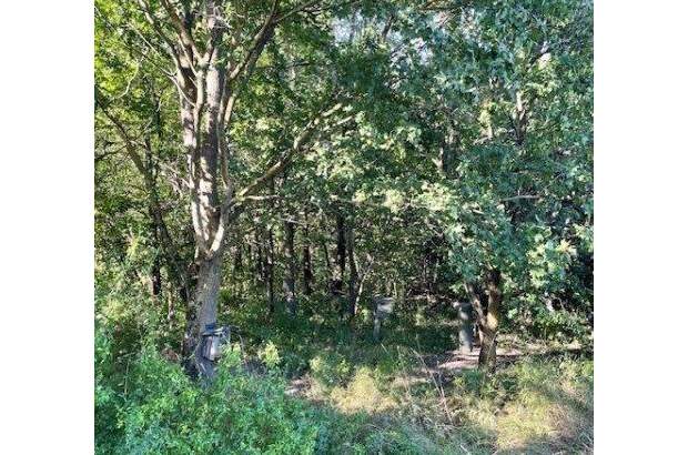 Grundstück kaufen in 3433 Königstetten (Bild 4)
