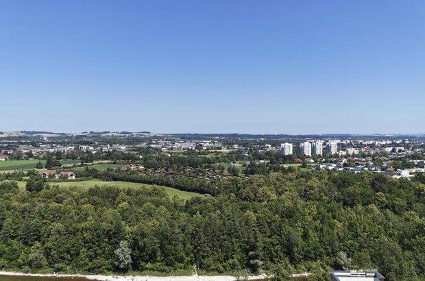 Grundstück kaufen in 4600 Thalheim (Bild 2)