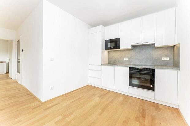 Terrassenwohnung mieten in 1130 Wien (Bild 4)