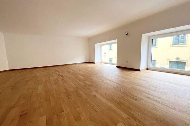 Gewerbeobjekt mieten in 1130 Wien (Bild 4)