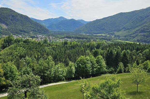 Gewerbeobjekt kaufen in 8933 Sankt Gallen (Bild 2)