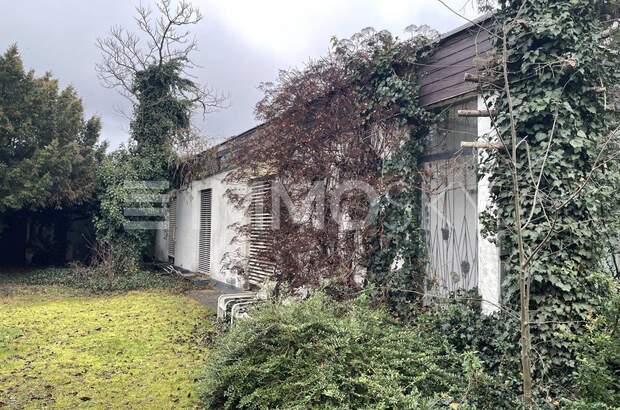 Einfamilienhaus kaufen in 1230 Wien (Bild 4)