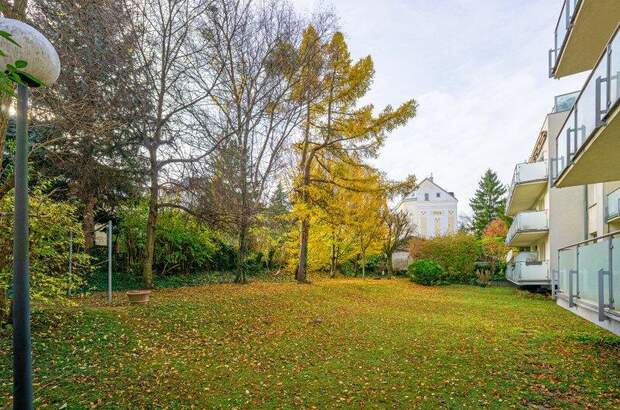 Terrassenwohnung kaufen in 1160 Wien (Bild 3)