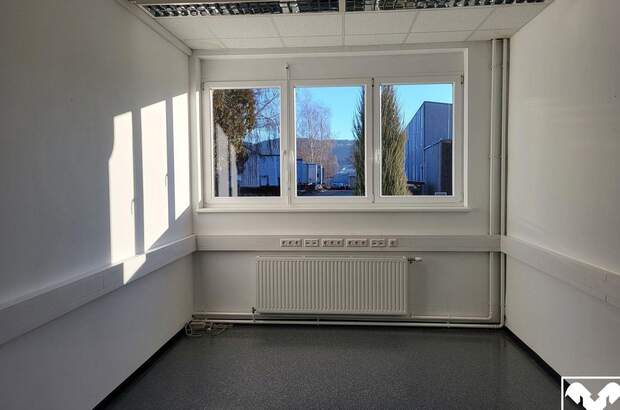 Gewerbeobjekt mieten in 4240 Freistadt (Bild 3)