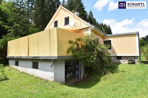 Haus kaufen in 8551 Wies (Bild 3)