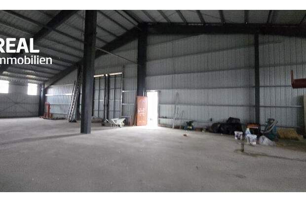 Lager kaufen in 2272 Ringelsdorf (Bild 3)