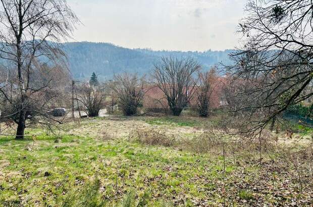 Grundstück kaufen in 8044 Graz (Bild 4)