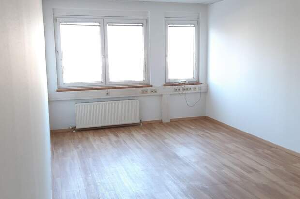 Gewerbeobjekt mieten in 2351 Wiener Neudorf (Bild 5)