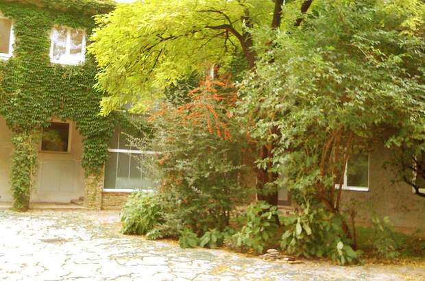 Wohnung mieten in 3430 Tulln (Bild 5)