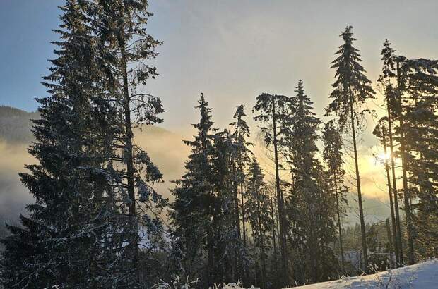 Wohnung kaufen in 2680 Semmering (Bild 5)