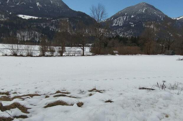 Grundstück kaufen in 9771 Berg (Bild 3)