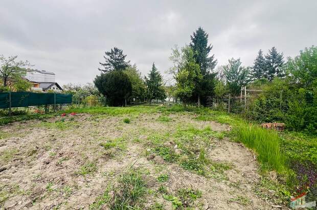 Grundstück kaufen in 2100 Korneuburg (Bild 1)
