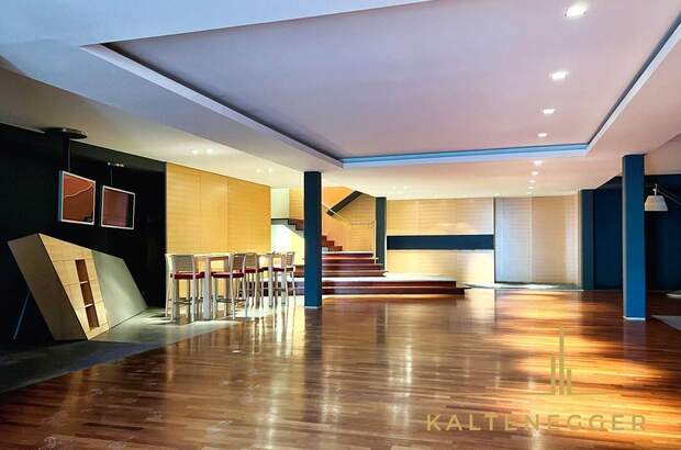 Gewerbeobjekt mieten in 1190 Wien (Bild 3)