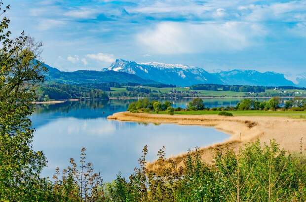 Immobilie kaufen in 5201 Seekirchen