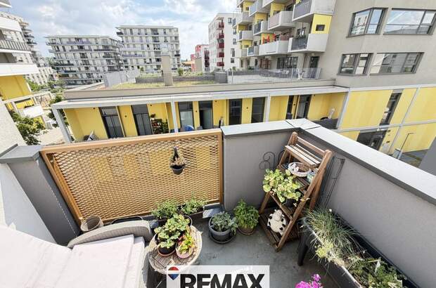 Terrassenwohnung kaufen in 1220 Wien (Bild 5)
