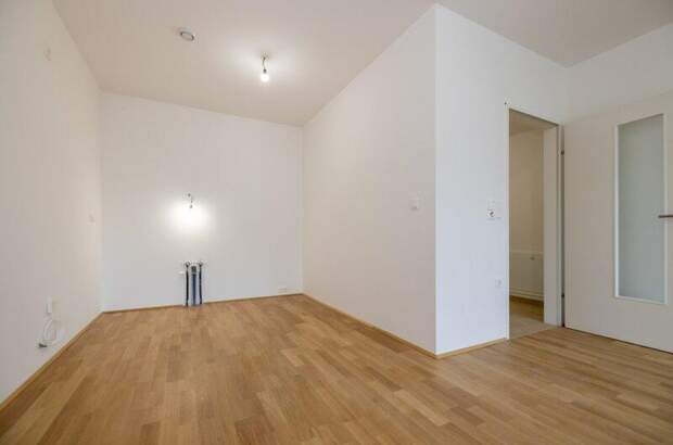 Terrassenwohnung mieten in 2700 Wr. Neustadt (Bild 5)