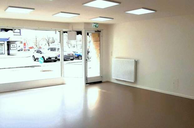 Gewerbeobjekt mieten in 2544 Leobersdorf (Bild 2)