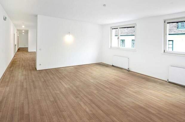 Gewerbeobjekt mieten in 1090 Wien (Bild 2)