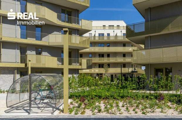 Terrassenwohnung kaufen in 1210 Wien (Bild 3)