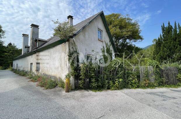 Grundstück kaufen in 2754 Waldegg (Bild 1)