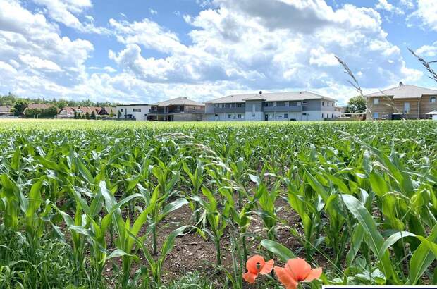 Gewerbeobjekt kaufen in 4623 Gunskirchen (Bild 1)