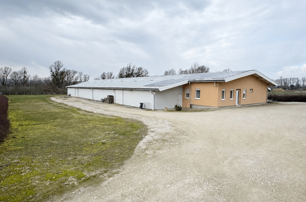 Gewerbeobjekt kaufen (Bild 4)