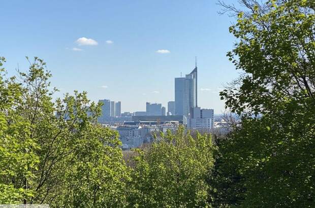 Wohnung mit Balkon mieten in 1190 Wien (Bild 5)